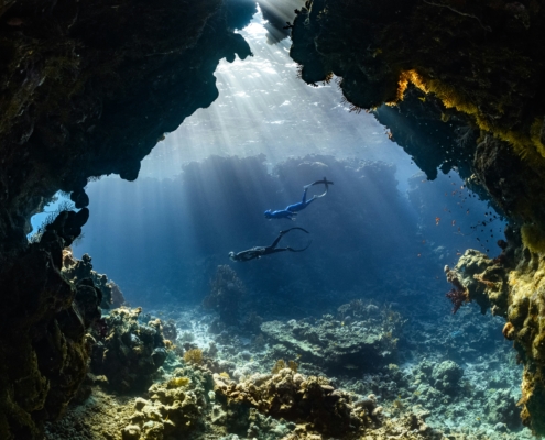 neom-yx7TJle8LhM-unsplash